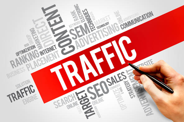 Traffic Manager Assistant